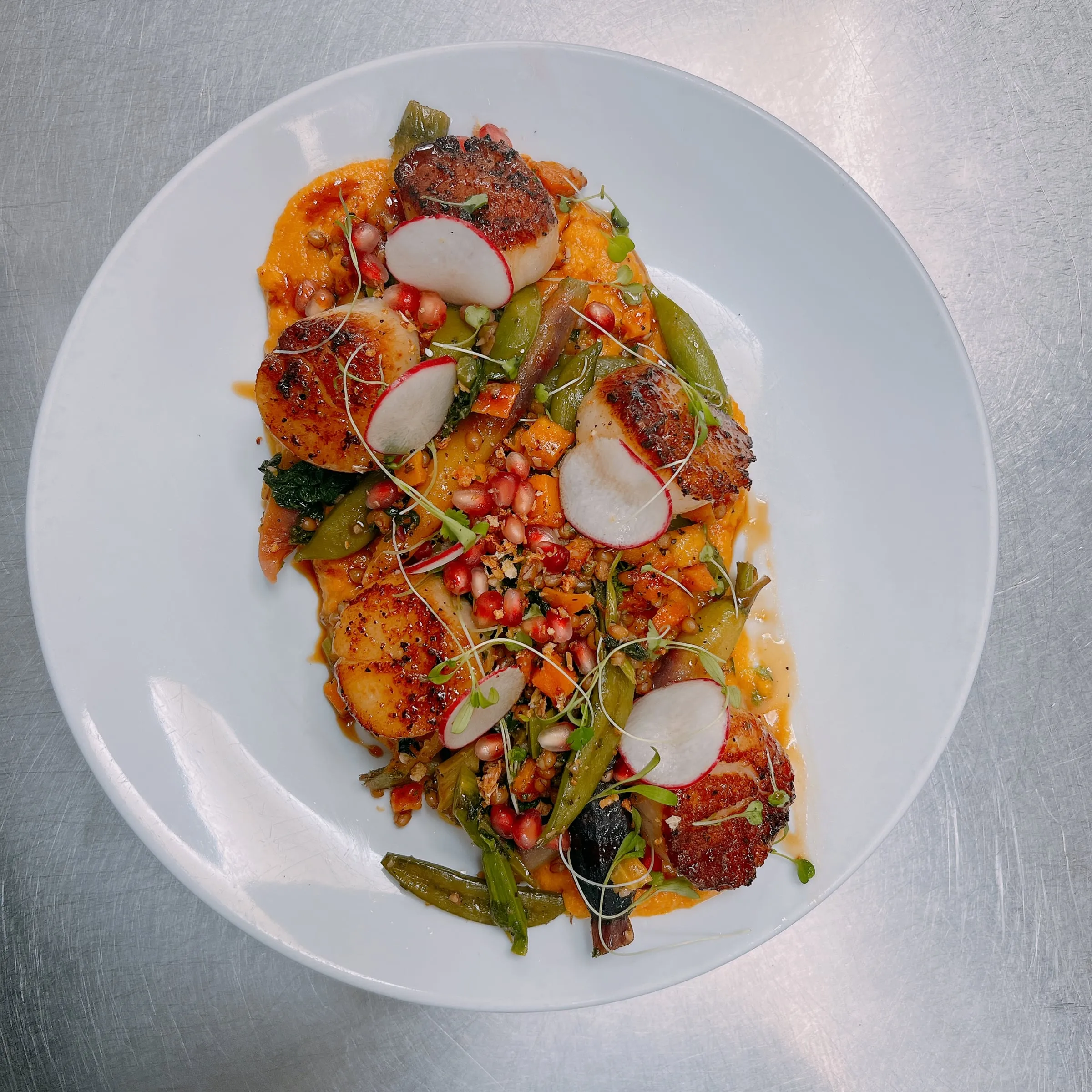 Seared scallops, sweet potato purée & pomegranate