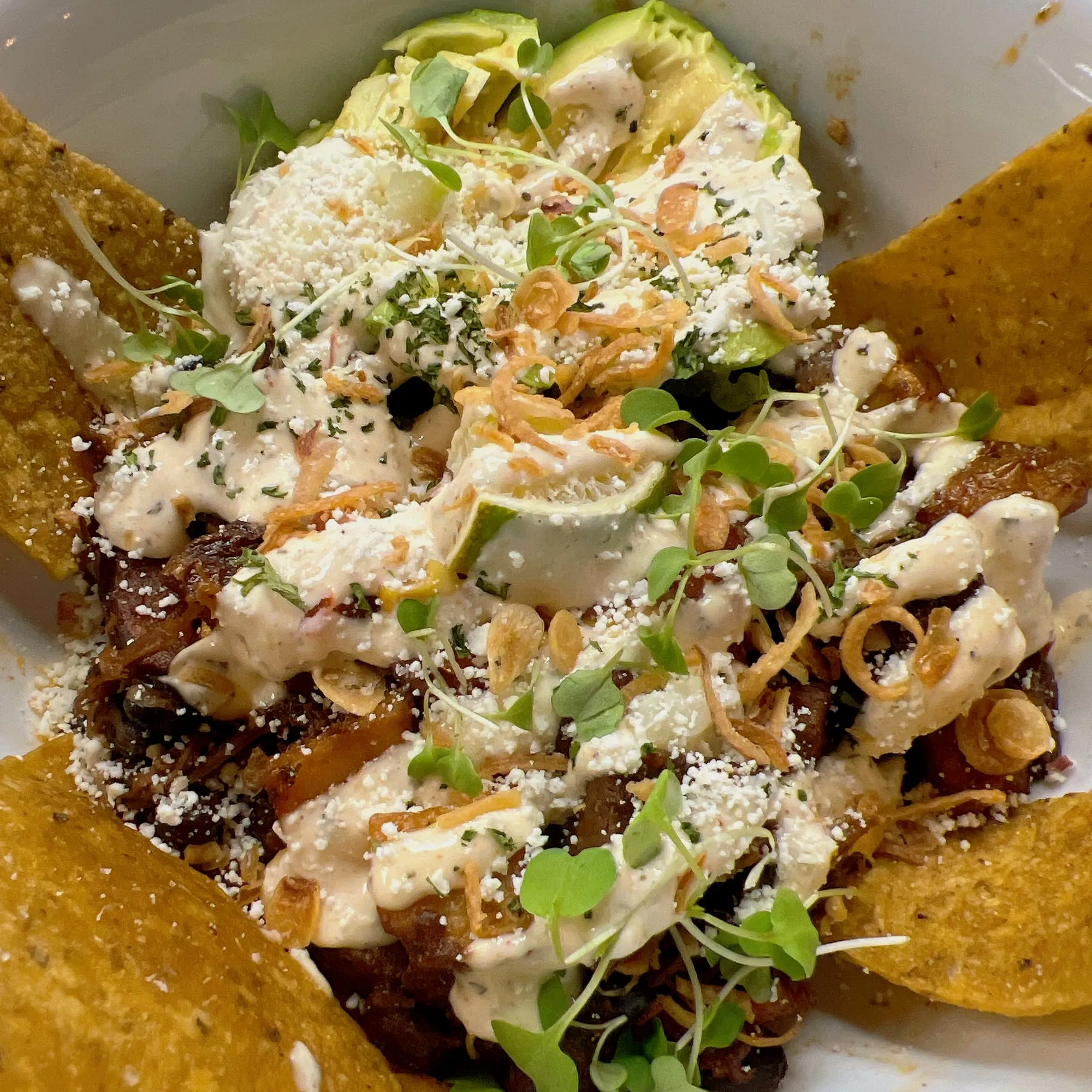 Pulled pork huevos rancheros with avocado and cotija